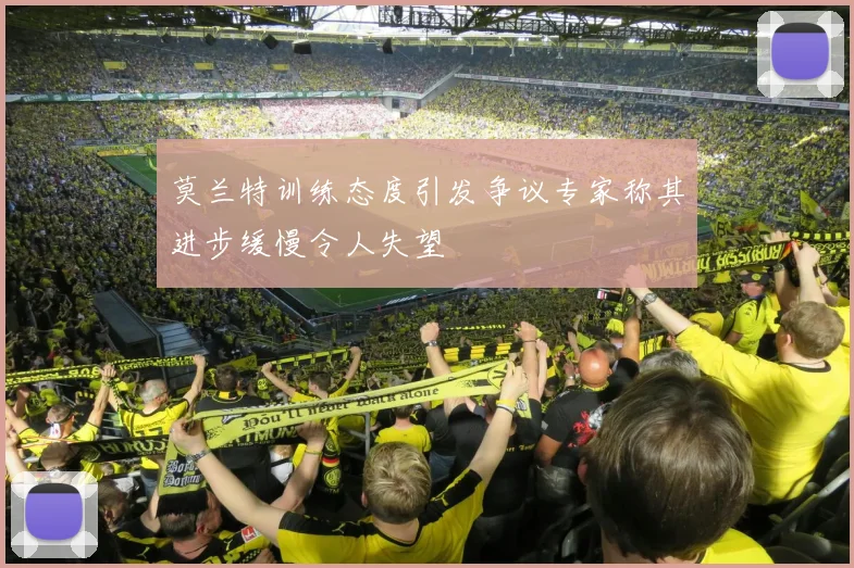 莫兰特训练态度引发争议专家称其进步缓慢令人失望